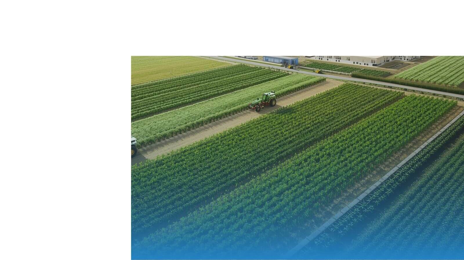 دراسة الجدوى الاقتصادية: أفضل 7 قطاعات واعدة للاستثمار في السعودية 6 مشروع زراعي حديث في السعودية - دراسة جدوى اقتصادية للمشاريع الزراعية